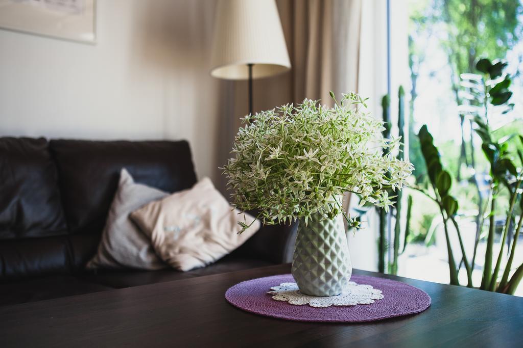 SAKÀ Vacation House Druskininkai Extérieur photo