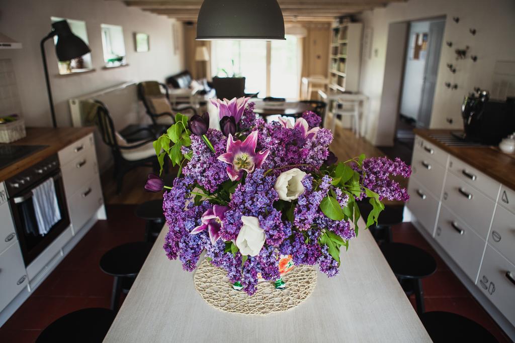 SAKÀ Vacation House Druskininkai Extérieur photo